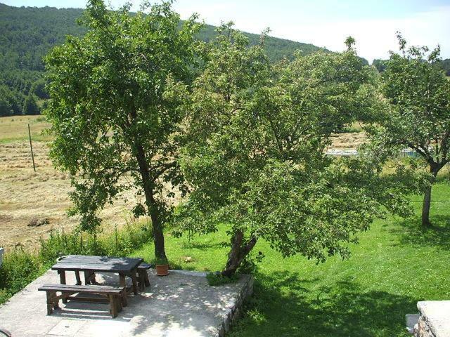 Apartment Ema Stolac Bagian luar foto
